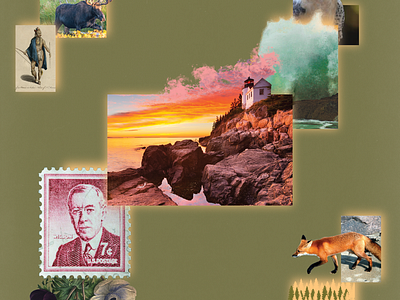 Acadia National Park Collage Style Poster artist collage design illustration maine national park nature park photoshop poster design vector vintage wildlife