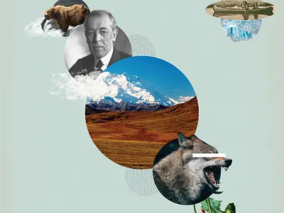 Denali National Park Collage Poster alaska artist collage collage design collage designer denali design graphic design illustration illustration design national park natural park photoshop vector winter