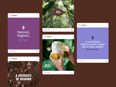 Baby Sloth Cacao baby sloth branding cacao chocolate coffee costa rica identity logotype packaging social media