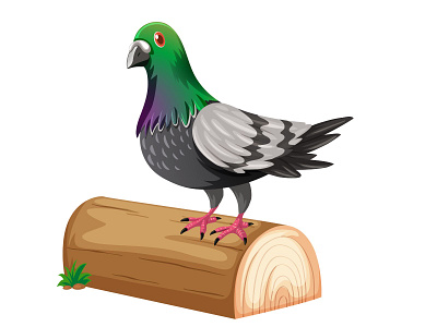 Beautiful Pigeon : beautifulpigeon cartoondesign featheredbeauty gracefulelegance graphic design illustration naturesartistry pigeonlove