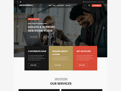 Microfinance website graphic design ui