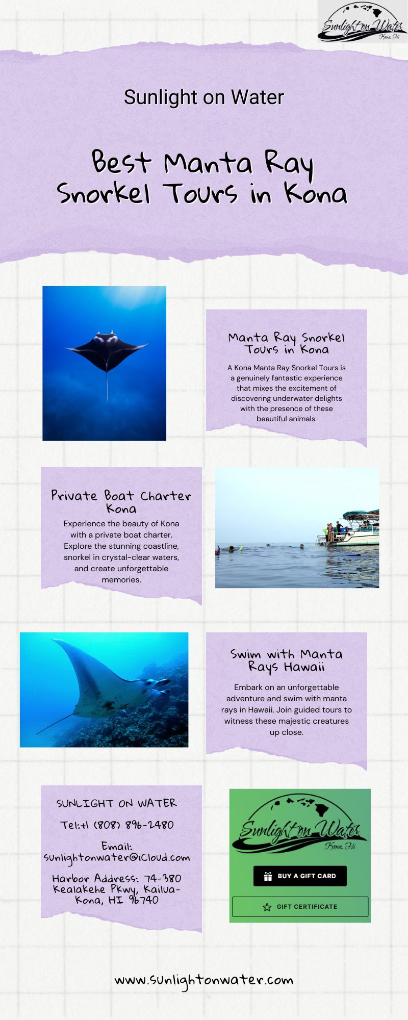 Best Manta Ray Snorkel Tours in Kona by Sunlight On Water on Dribbble