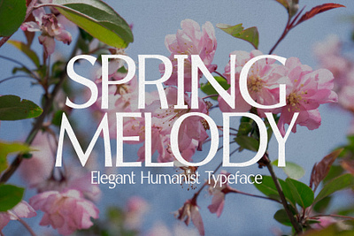 Spring Melody - Humanist Typeface beautiful branding chic classic design elegant fashion feminine font geometric graphic design greek illustration logo luxury modern sans typeface wedding