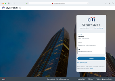 Citi Odyssey Studio banking business citibank design developer dsm management money platform studio system ui user ux widgets
