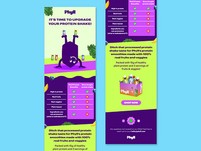 Smoothie Drink Newsletter Design beverage email fruits graphic design