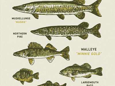 Bowen Lodge apparel graphics branding design fish fishing hand lettering illustration lettering texture typography vintage