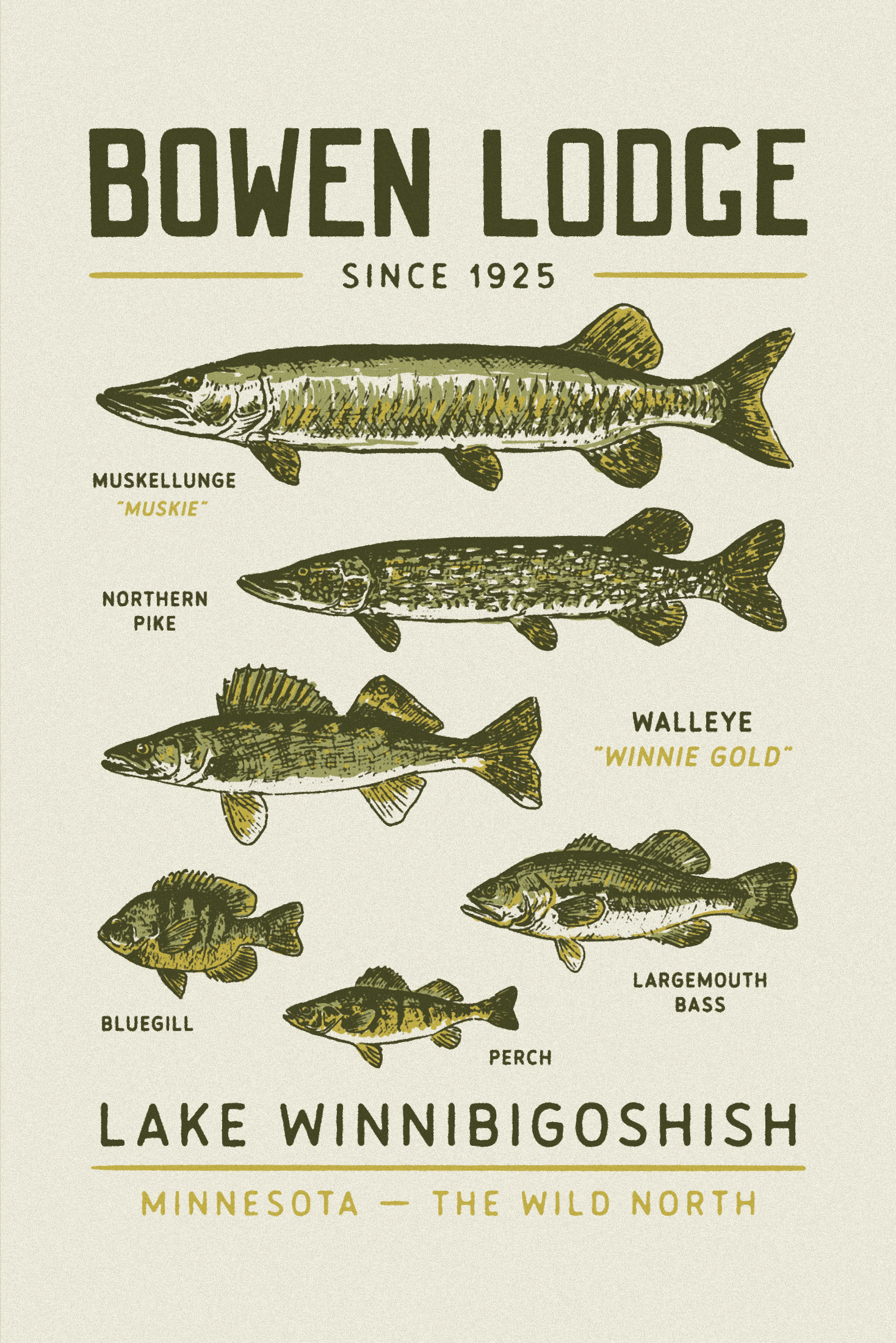 Example of Merch Graphics