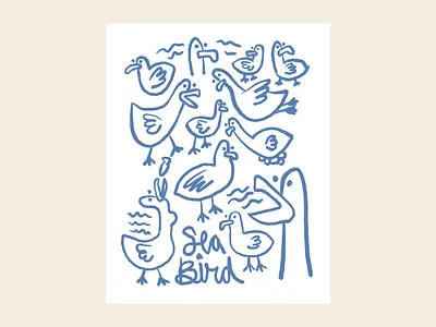 Seagull Illustration and font bird blue font illustration ocean pnw seagull vector