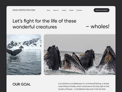 Whale Protection - Website UI animal composition design landingpage nature ui ux web web design web site whale