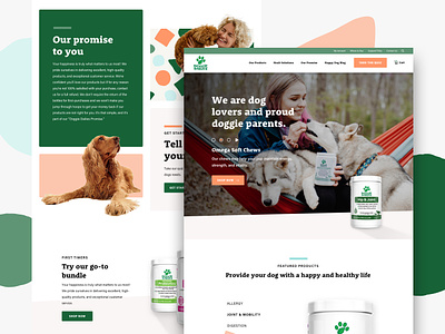 Doggie Dailies - Web Redesign charlotte design ecommerce product ui ux web website