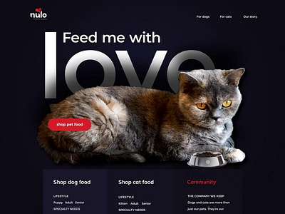 Feed me with LOVE 3d website animation branding cat template design graphic design template ui uiux ux web development website