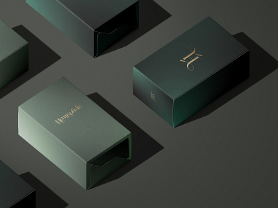 Hemisphere Packaging Design box design brand design brand identity branding branding project design graphic design label design logo logo suite packaging