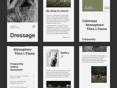 Mobile ver. horse riding holidays in Iceland design landing page mobile version study case ui ui design uidesign web design webdesign website веб дизайн вебдизайн дизайн лендинг сайт