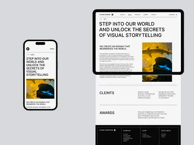 Studio Enigma - Concept Design 2023 branding design graphic design illustration interface logo model photographer photography photoshoot trending ui visual design