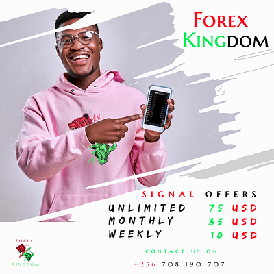 Forex Kingdom Flyer branding design graphic design illustration