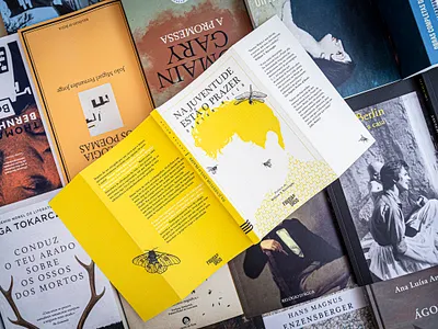 Book Design & Illustration, Portuguese Edition. digital art