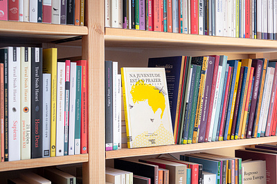 Book Design & Illustration, Standing Out in a Shelf. bookstore digital art library