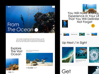 Diving Travel Service - Baau clean diving homepage landingpage minimal ocean tourism travel ui ui concept uiux underwater web web design website