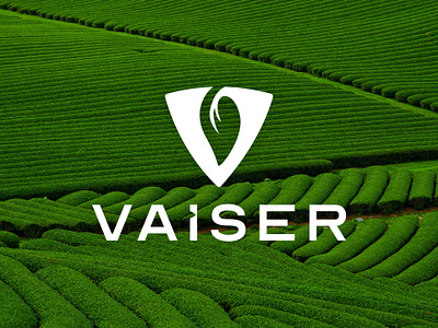 VAISER, Brand Identity agriculture brand design brand identity brandidentity branding design farm grafik tasarım grafiktasarım graphic design green illustration kurumsal kimlik logo logo design modern branding nature typography vector visual identity