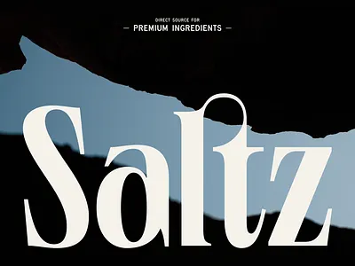 Saltz Wordmark brand identity branding design font food graphic design icon identity juste ligature lithuania logo navickaite type typography vector vilnius wordmark