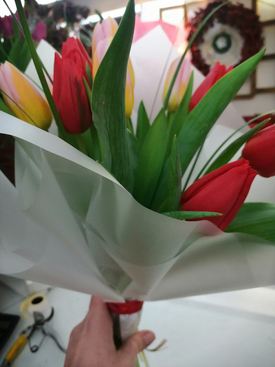 Small and charming: tulips