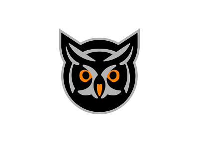 Night Owl Logo animal logos bird brand bird logo bird logos brand branding changethethought design graphic design illustration logo logo art logo design night owl logo night owl storage owl brand owl logo owl logos vector vector logo