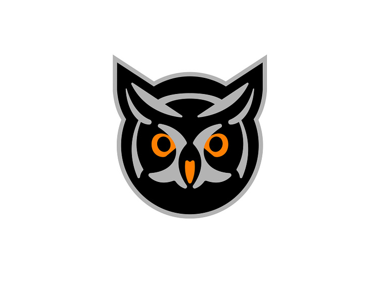 night-owl-logo-by-changethethought-on-dribbble