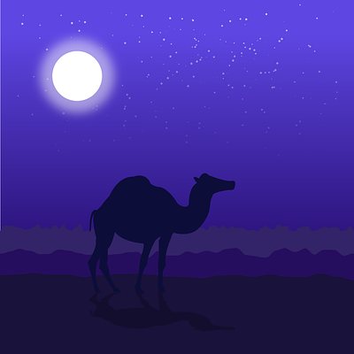 Desert Illustration graphic design illustration vector