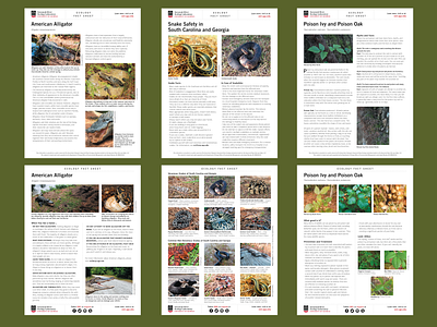 Series of Ecology Fact Sheets for The University of Georgia branding design graphic design layout design print design
