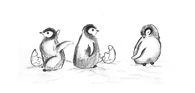 Just Born animal art childrens book illustration graphite illustration illustration for children kidlit pencil penguin storybook traditional art wildlife