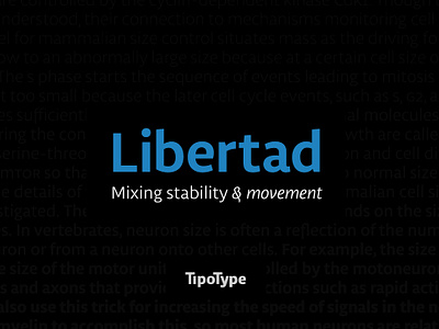 Libertad Font animation graphic design logo motion graphics ui