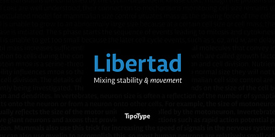 Libertad Font animation graphic design logo motion graphics ui