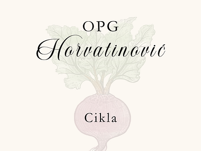 Cikla