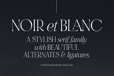NOIR et BLANC Stylish Serif classy elegant font duo logo stylish wedding