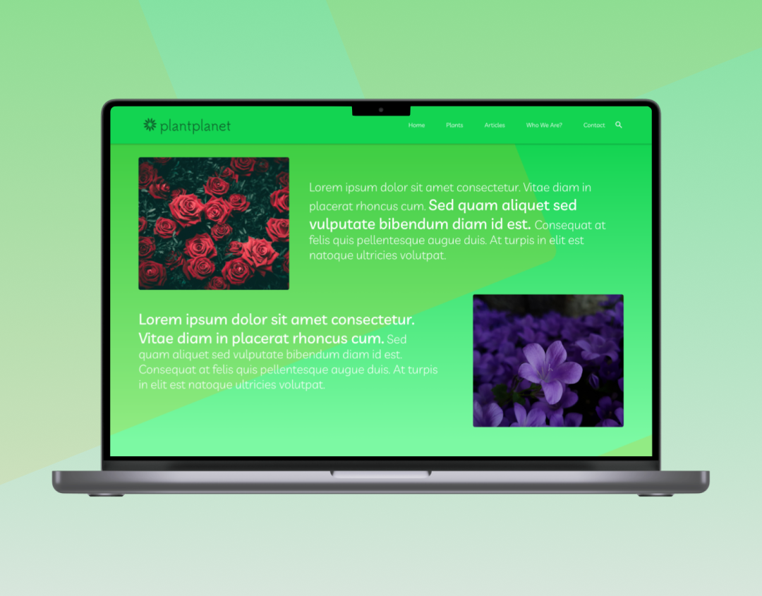 Plant Planet design graphic design plant ui ui design ux ux design