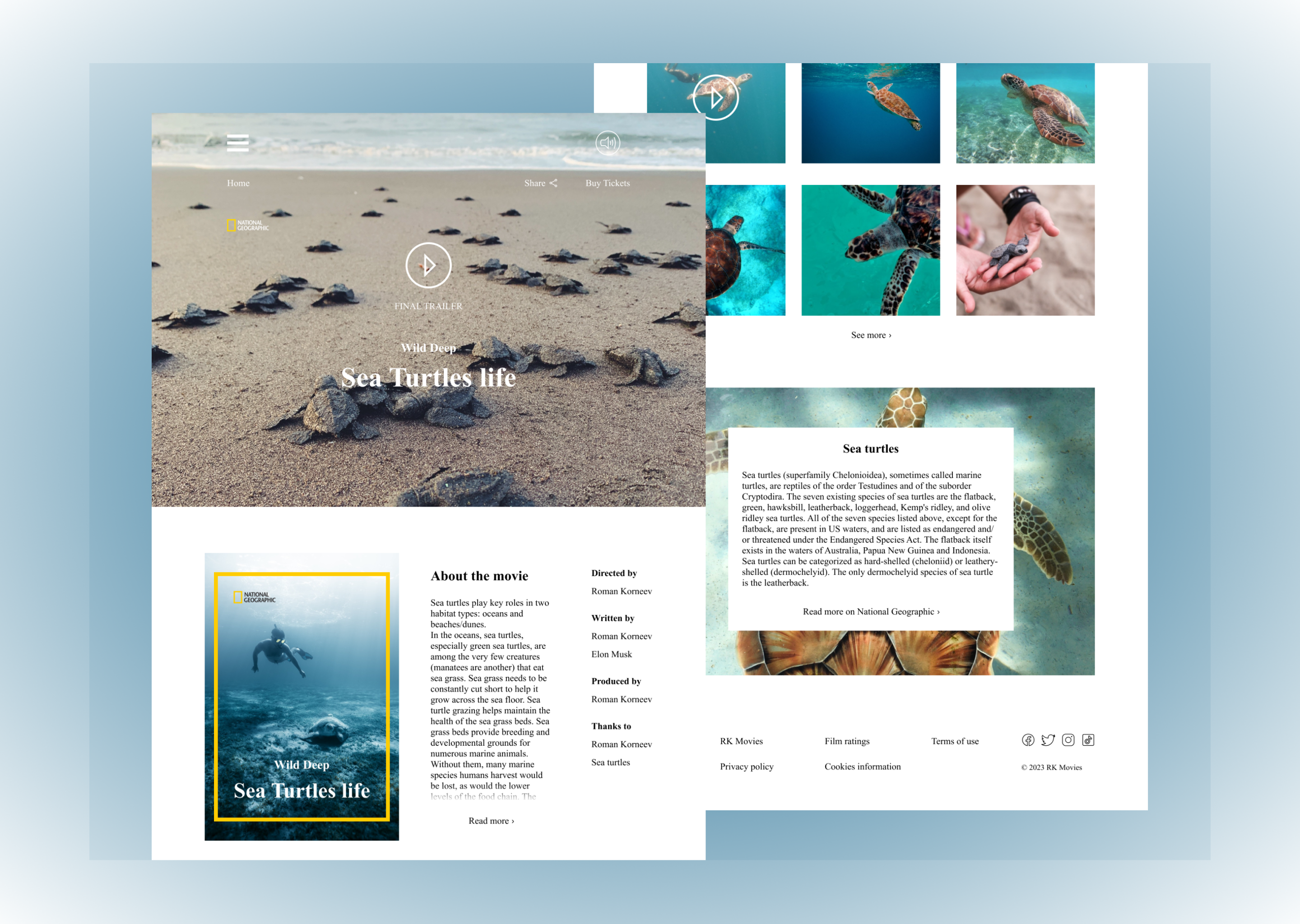 Sea turtles movie for National Geographic website art branding design graphic design icon illustration logo ui vector web