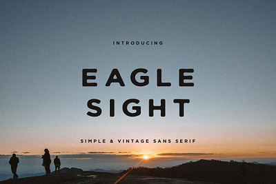 Eagle Sight Font + Extras branding chic design eagle elegant font graphic design illustration logo modern retro sans serif sight simple type typeface typography vector vintage