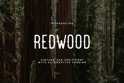 Redwood Font + Extras alternative branding design elegant font graphic design grunge illustration logo modern redwood retro sans sequoia serif simple type typeface typography vintage