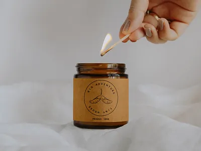 Tiny House | Branding branding design graphic design illustration logo package typography vector