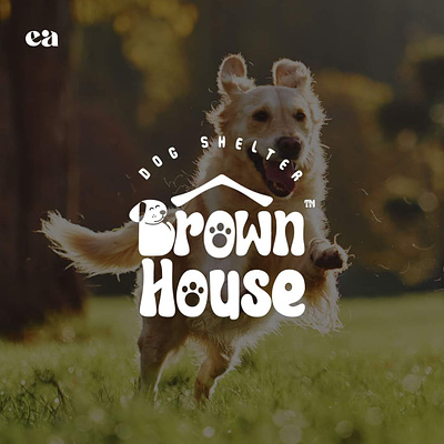 Brown House | dog shelter brand identity branding callegraphy dog illustration logo shelter typography visual identity