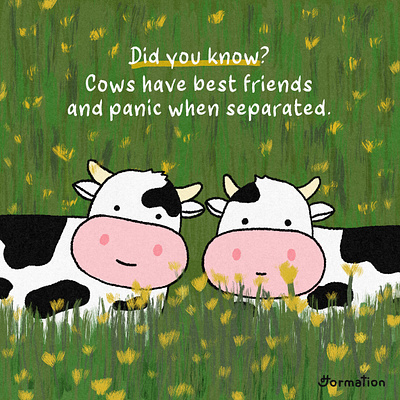 Cows have best friends animal animals best friend bff cartoon cow cows did you know digital art digital illustration drawing fact farm friendship fun fact illustration moo procreate