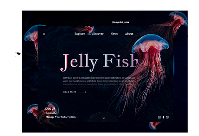 jelly fish 3d branding design dribbble figma graphic design illustration logo ui uiux website