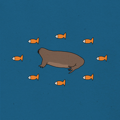 Freya the Walrus 2d animation artwork cartoon graphic design illustration procreate walrus
