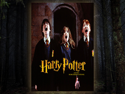 Harry Pooter Movie Poster build2.0 designdrug graphic design harrypotter ui