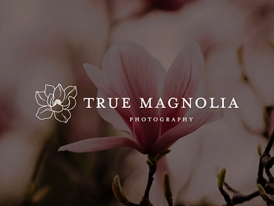 True Magnolia Photography Rebrand branding design graphic design logo rebrand