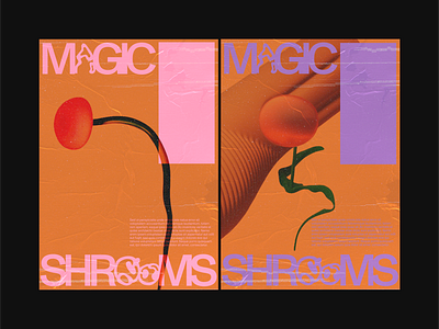 MAGIC MUSHROOMS — 001 branding creative direction design graphic design illustration web
