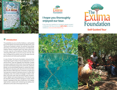 The Exuma Foundation branding graphic design illustration