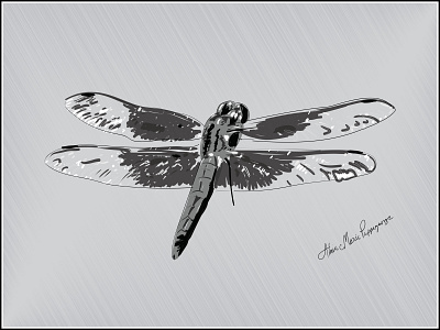 Dragon Fly artwork design graphic design illustration insect art vector