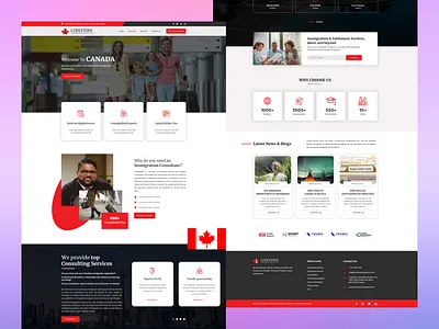 LODESTONE immigration Services inc Landing Page branding graphic design logo motion graphics ui