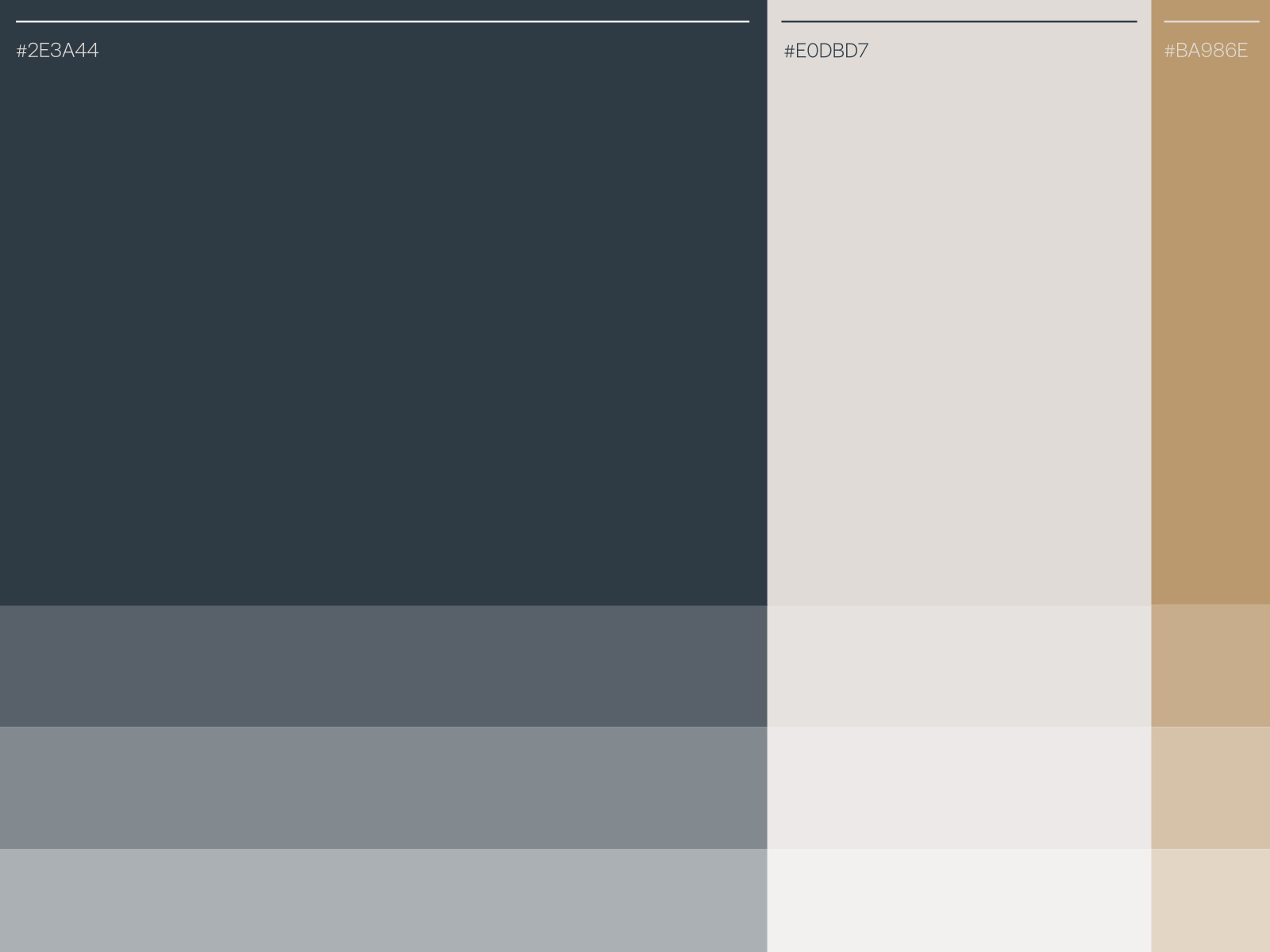 CONNECT - Color Palette animation belgië brand branding color connect design finance logo modern money moqo motion graphics palette soft